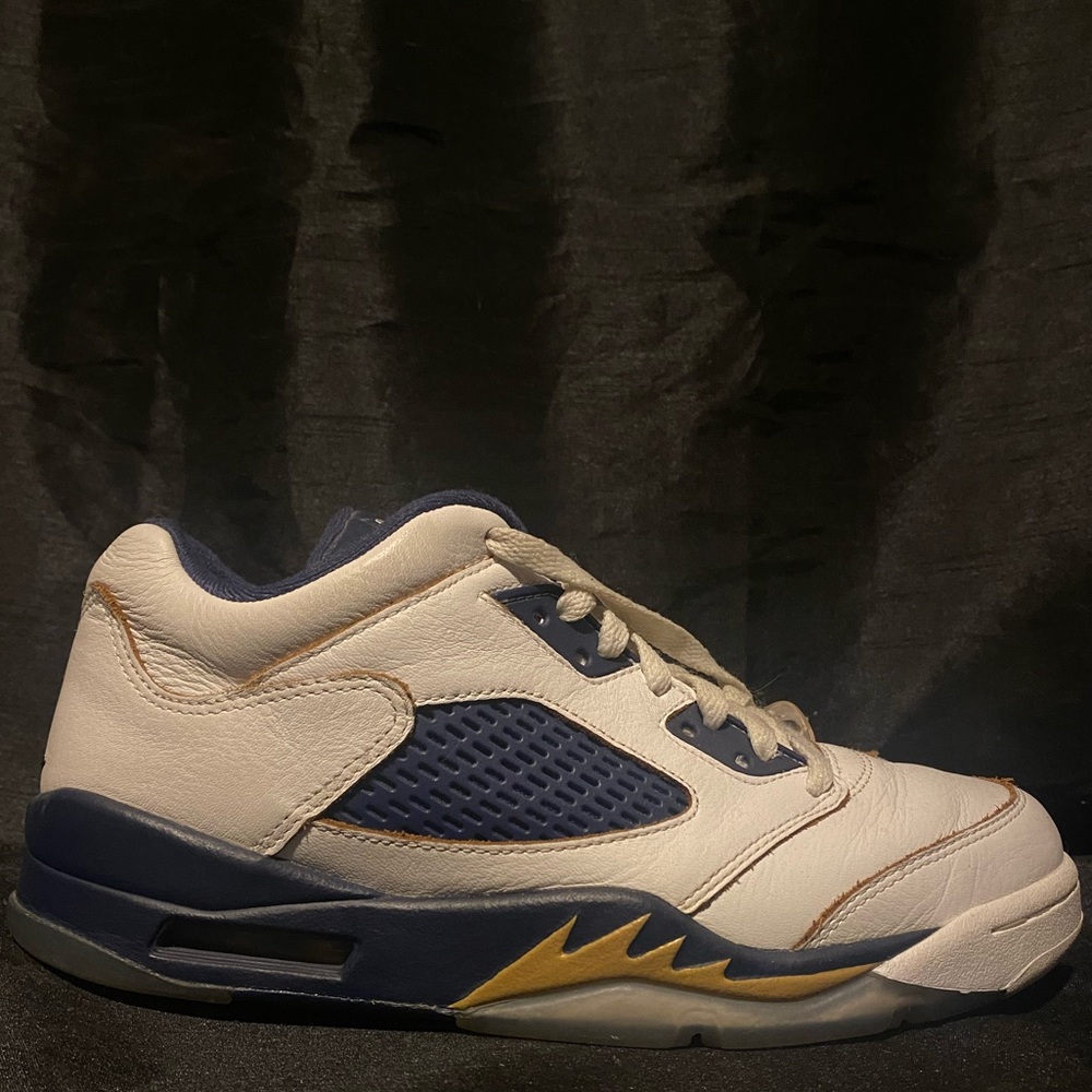 Jordan 5 low Dunk From Above